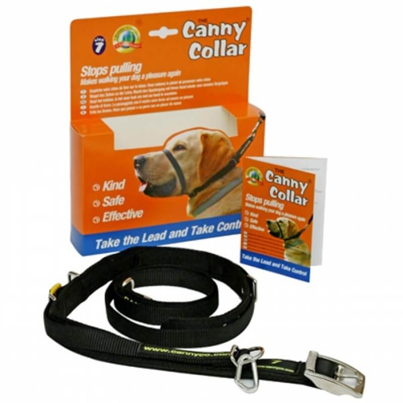 Canny Collar | El mejor collar anti tirones para ayudar a entrenar a tu perro a no tirar.  Gabo&Gordo Pet Shop en Las Palmas de Gran Canaria tienda para mascotas, perros, gatos, conejos, tortugas, animales