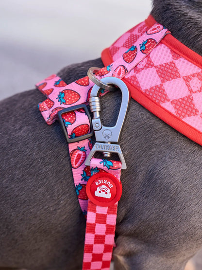 DUKIER ÁRNES REVERSIBLE Berry Love Gabo&Gordo Pet Shop en Las Palmas de Gran Canaria tienda para mascotas, perros, gatos, conejos, tortugas, animales, accesorios para mascotas