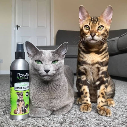 Destructor instantáneo de olores en spray para mascotas