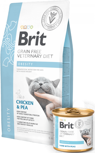 BRIT CARE VET DIETS OBESITY/ Pienso para gatos Gabo y Gordo E Shop, la mejor tienda online en las Islas Canarias, España, tienda online para mascotas, perros, gatos, conejos, tortugas, animales, accesorios para mascotas en general. 
Gabo y Gordo E Shop in Canary Islands, the best store for pets, dogs, cats, rabbits, turtles, animals, pet accessories.