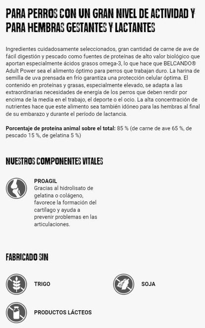 BELCANDO Adult Power | Pienso para perros y perras de cría activos Gabo&Gordo Pet Shop en Las Palmas de Gran Canaria tienda para mascotas, perros, gatos, conejos, tortugas, animales, accesorios para mascotas