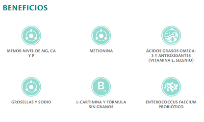 BRIT CARE VET DIETS CAT STRUVITE| Comida húmeda para Gatos 200 g x 6 unidades sin cereales  Gabo y Gordo E Shop, la mejor tienda online en las Islas Canarias, España, tienda online para mascotas, perros, gatos, conejos, tortugas, animales, accesorios para mascotas en general. 
Gabo y Gordo E Shop in Canary Islands, the best store for pets, dogs, cats, rabbits, turtles, animals, pet accessories.
