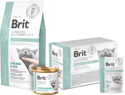BRIT CARE VET DIETS CAT STRUVITE| Comida húmeda para Gatos 200 g x 6 unidades sin cereales  Gabo y Gordo E Shop, la mejor tienda online en las Islas Canarias, España, tienda online para mascotas, perros, gatos, conejos, tortugas, animales, accesorios para mascotas en general. 
Gabo y Gordo E Shop in Canary Islands, the best store for pets, dogs, cats, rabbits, turtles, animals, pet accessories.
