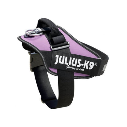 JULIUS K9 IDC Powerharness arnés Púrpura para perro Gabo&Gordo Pet Shop en Las Palmas de Gran Canaria tienda para mascotas, perros, gatos, conejos, tortugas, animales, accesorios para mascotas