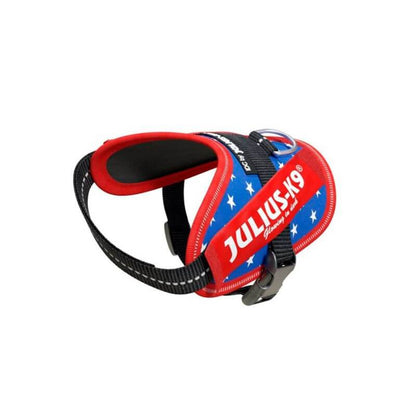 JULIUS K9 IDC Powerharness Arnés Americano Para Perros Gabo&Gordo Pet Shop en Las Palmas de Gran Canaria tienda para mascotas, perros, gatos, conejos, tortugas, animales, accesorios para mascotas