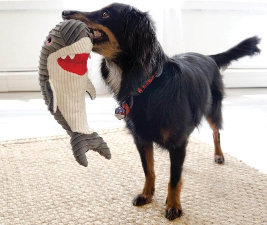 Kong Juguete peluche Cuteseas Rufflez tiburón para perros.  Gabo y Gordo E Shop, la mejor tienda online en Gran Canaria, Islas Canarias, España, tienda online para mascotas, perros, gatos, conejos, tortugas, animales, accesorios para mascotas en general. 
Gabo y Gordo E Shop is the best online pet shop in Gran Canaria, Canary Islands, Spain.