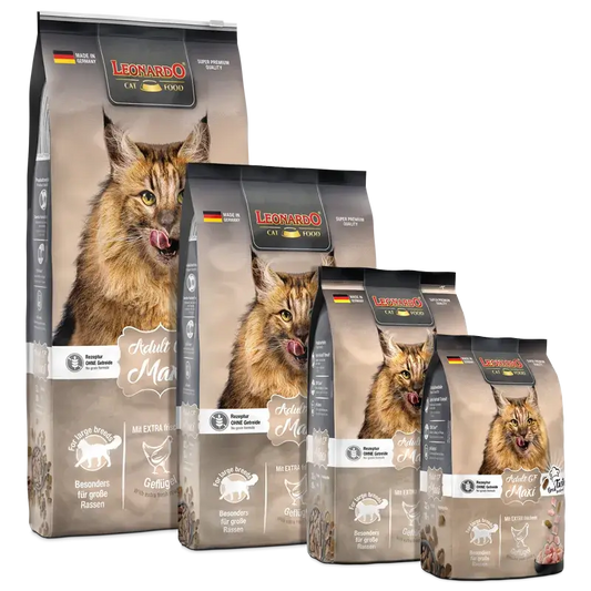 LEONARDO® Adult Maxi | Pienso para gatos en Gabo y Gordo E Shop, la mejor tienda online en Gran Canaria, Islas Canarias, España, tienda online para mascotas, perros, gatos, conejos, tortugas, animales, accesorios para mascotas en general. 
Gabo y Gordo E Shop is the best online pet shop in Gran Canaria, Canary Islands, Spain.