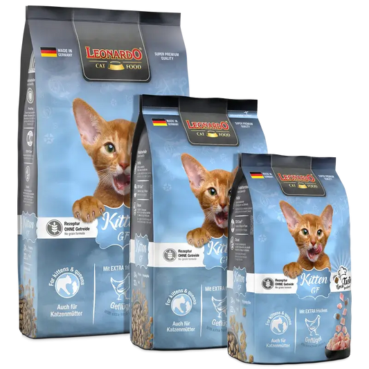 LEONARDO Kitten GF | Pienso para gatos en Gabo y Gordo E Shop, la mejor tienda online en Gran Canaria, Islas Canarias, España, tienda online para mascotas, perros, gatos, conejos, tortugas, animales, accesorios para mascotas en general. 
Gabo y Gordo E Shop is the best online pet shop in Gran Canaria, Canary Islands, Spain.