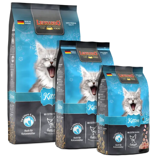 LEONARDO Kitten | Pienso para gatos en Gabo y Gordo E Shop, la mejor tienda online en Gran Canaria, Islas Canarias, España, tienda online para mascotas, perros, gatos, conejos, tortugas, animales, accesorios para mascotas en general. 
Gabo y Gordo E Shop is the best online pet shop in Gran Canaria, Canary Islands, Spain.