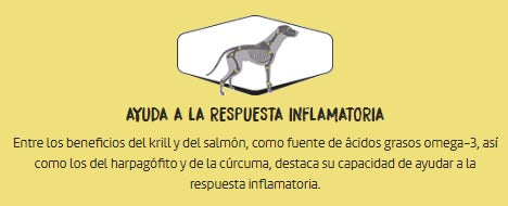 OWNAT Aceite de salmón para perros y gatos Gabo y Gordo E Shop, la mejor tienda online en las Islas Canarias, España, tienda online para mascotas, perros, gatos, conejos, tortugas, animales, accesorios para mascotas en general. 
Gabo y Gordo E Shop in Canary Islands, the best store for pets, dogs, cats, rabbits, turtles, animals, pet accessories.
