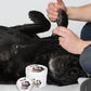 Protex Pawz | Cera reparadora de almohadillas para perros 60 g  Gabo y Gordo Pet Shop, la mejor tienda online en las Islas Canarias, España, tienda online para mascotas, perros, gatos, conejos, tortugas, animales, accesorios para mascotas en general. 