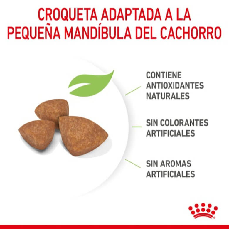 ROYAL CANIN Xsmall Puppy Gabo y Gordo E Shop, la mejor tienda online en las Islas Canarias, España, tienda online para mascotas, perros, gatos, conejos, tortugas, animales, accesorios para mascotas en general. 
Gabo y Gordo E Shop in Canary Islands, the best store for pets, dogs, cats, rabbits, turtles, animals, pet accessories.