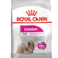 ROYAL CANIN Mini EXIGENT para perros Gabo y Gordo E Shop, la mejor tienda online en las Islas Canarias, España, tienda online para mascotas, perros, gatos, conejos, tortugas, animales, accesorios para mascotas en general. 
Gabo y Gordo E Shop in Canary Islands, the best store for pets, dogs, cats, rabbits, turtles, animals, pet accessories.