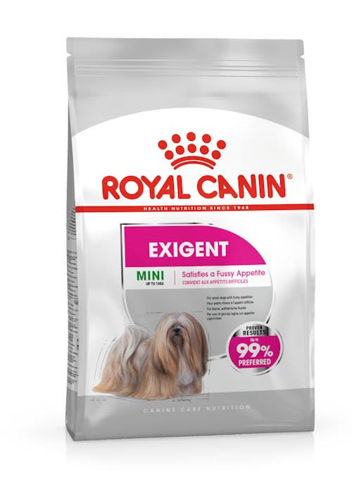 ROYAL CANIN Mini EXIGENT para perros Gabo y Gordo E Shop, la mejor tienda online en las Islas Canarias, España, tienda online para mascotas, perros, gatos, conejos, tortugas, animales, accesorios para mascotas en general. 
Gabo y Gordo E Shop in Canary Islands, the best store for pets, dogs, cats, rabbits, turtles, animals, pet accessories.