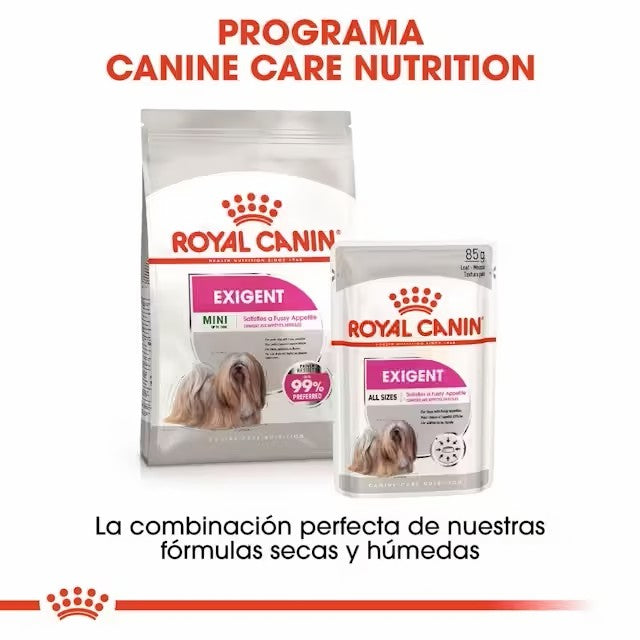 ROYAL CANIN Mini EXIGENT para perros Gabo y Gordo E Shop, la mejor tienda online en las Islas Canarias, España, tienda online para mascotas, perros, gatos, conejos, tortugas, animales, accesorios para mascotas en general. 
Gabo y Gordo E Shop in Canary Islands, the best store for pets, dogs, cats, rabbits, turtles, animals, pet accessories.