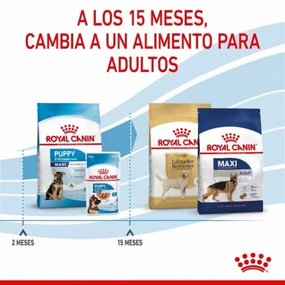 ROYAL CANIN Maxi Puppy Gabo y Gordo E Shop, la mejor tienda online en las Islas Canarias, España, tienda online para mascotas, perros, gatos, conejos, tortugas, animales, accesorios para mascotas en general. 