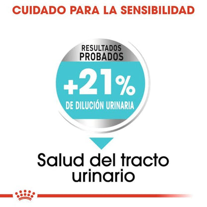 ROYAL CANIN Mini Urinary Care para perros Gabo y Gordo E Shop, la mejor tienda online en las Islas Canarias, España, tienda online para mascotas, perros, gatos, conejos, tortugas, animales, accesorios para mascotas en general. 
Gabo y Gordo E Shop in Canary Islands, the best store for pets, dogs, cats, rabbits, turtles, animals, pet accessories.