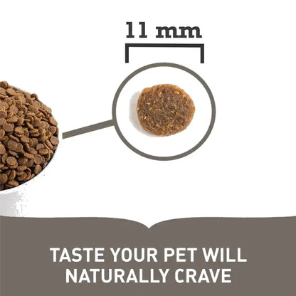 Pienso ACANA ADULT SMALL BREED RECIPE.   Gabo y Gordo E Shop, la mejor tienda online en las Islas Canarias, España, tienda online para mascotas, perros, gatos, conejos, tortugas, animales, accesorios para mascotas en general. 