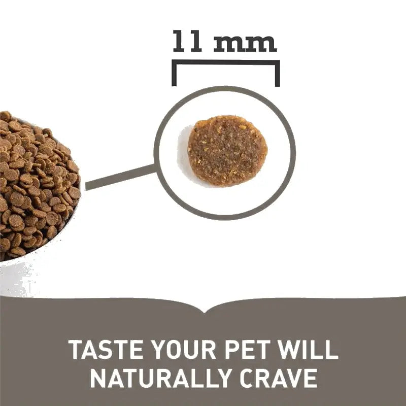 acana adult small breed pienso sin cereales perros pequeños