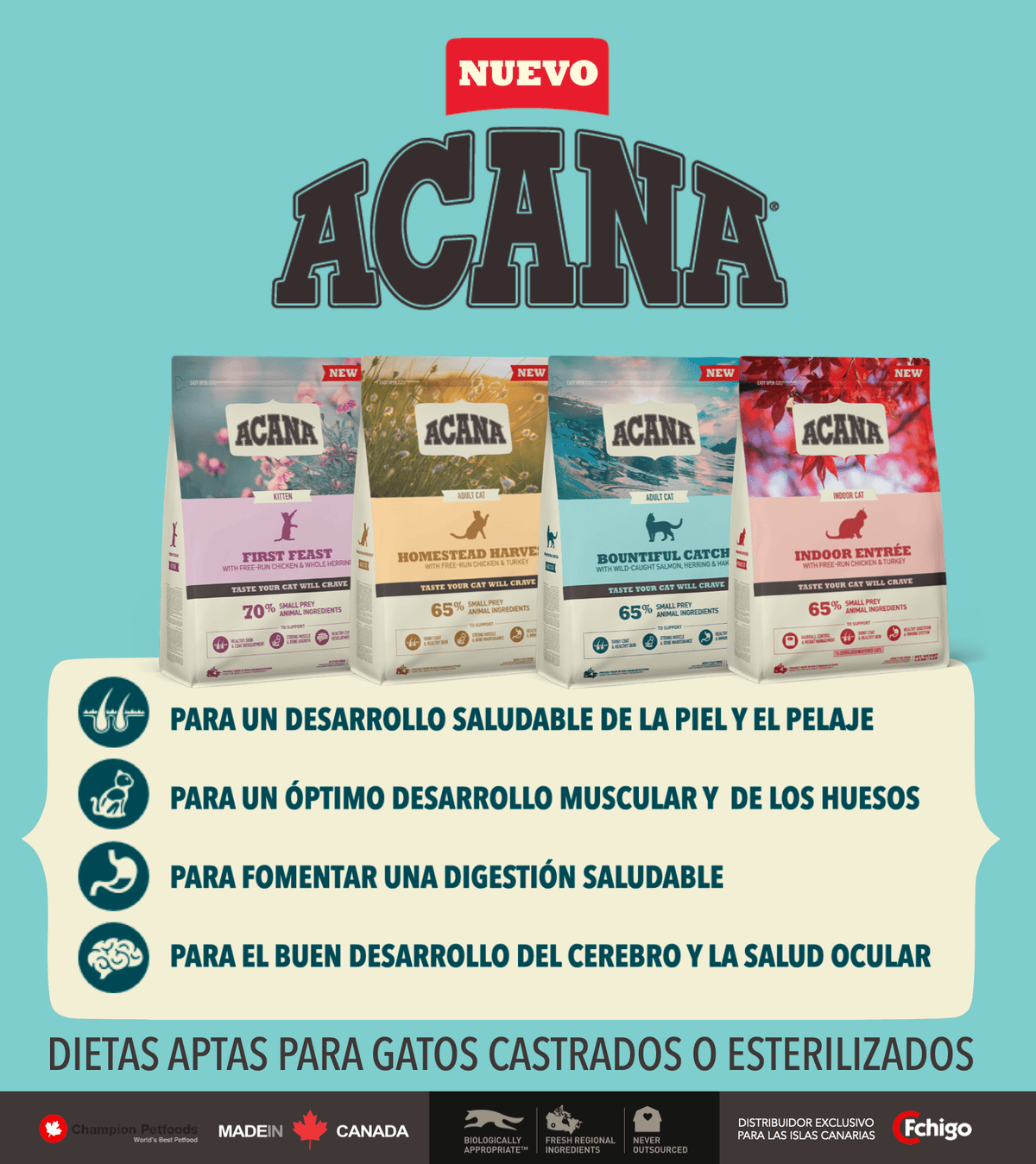 ACANA Homestead Harvest pienso natural sin cereales para gatos con pollo y pavo fresco