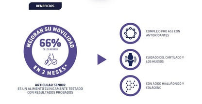 Pienso ADVANCE Articular Senior para perros mayores con problemas articulares