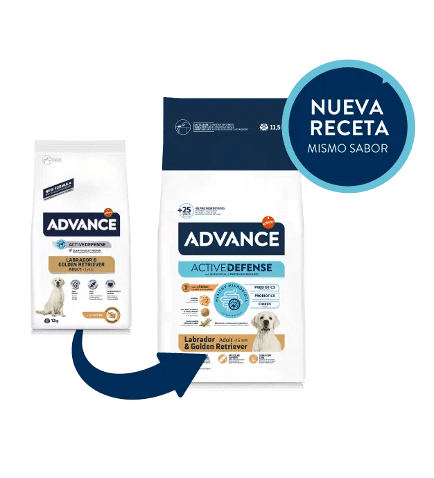 Saco de 11,5 kg de pienso ADVANCE Labrador & Golden Retriever para perros adultos.