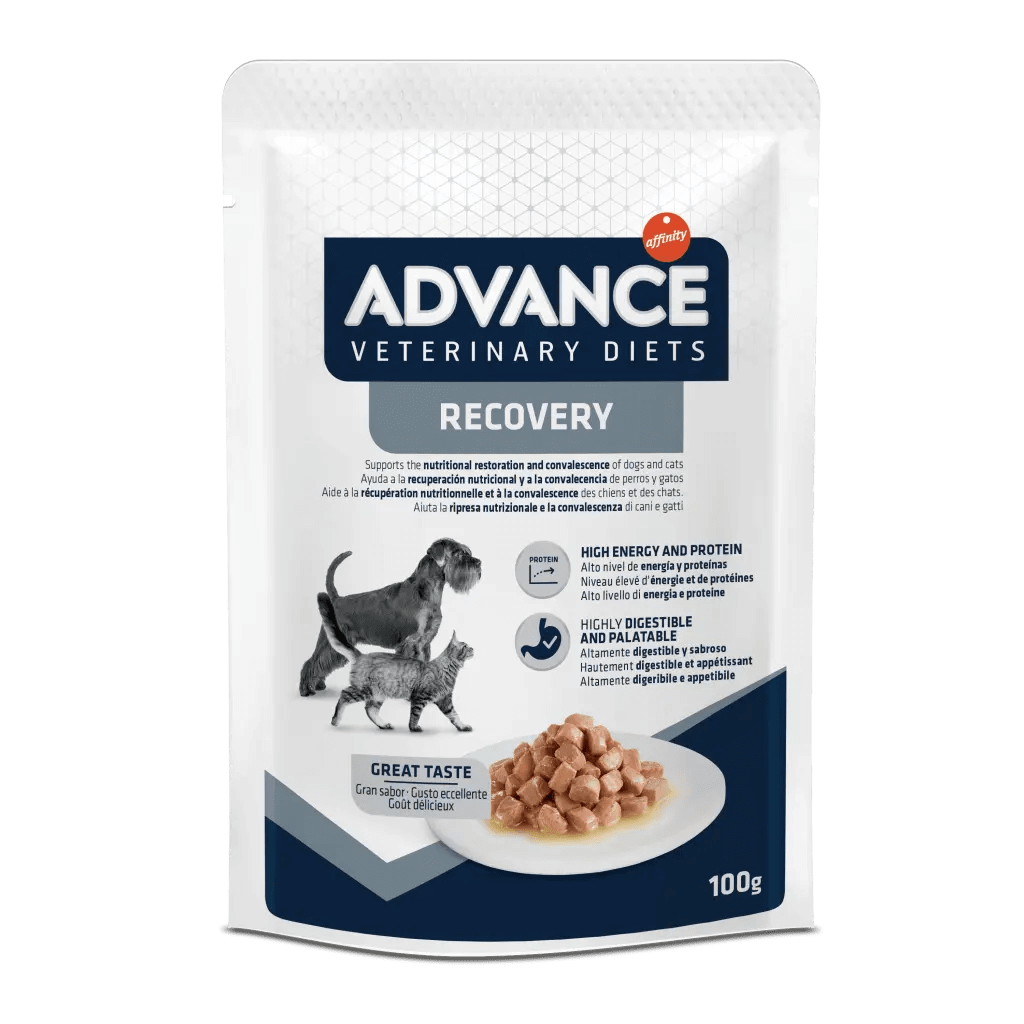 Tarrinas ADVANCE Recovery para perros y gatos adultos – comida húmeda de recuperación nutricional, pack de 11 x 100 g, disponible en Gabo y Gordo E Shop
