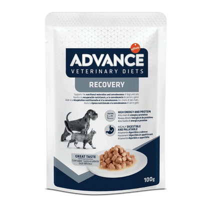Tarrinas ADVANCE Recovery para perros y gatos adultos – comida húmeda de recuperación nutricional, pack de 11 x 100 g, disponible en Gabo y Gordo E Shop
