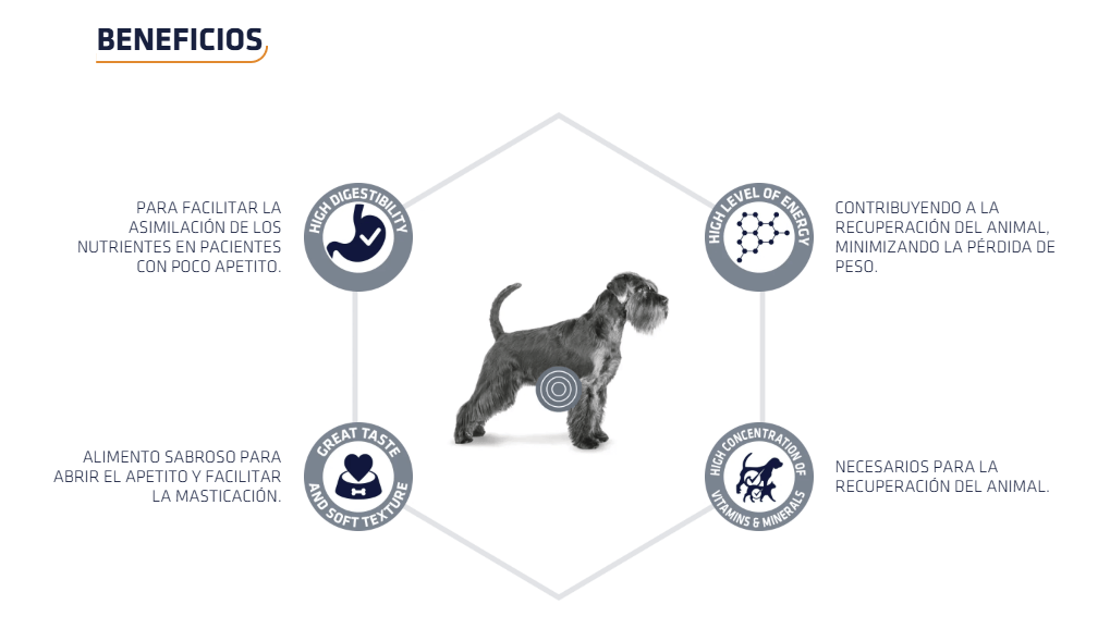 Tarrinas ADVANCE Recovery para perros y gatos adultos – comida húmeda de recuperación nutricional, pack de 11 x 100 g, disponible en Gabo y Gordo E Shop