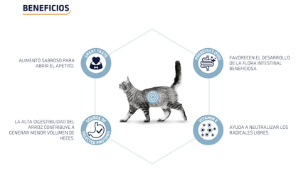 Comida húmeda digestiva para gatos y gatitos ADVANCE Vet Gastroenteric, pack 12 x 85g