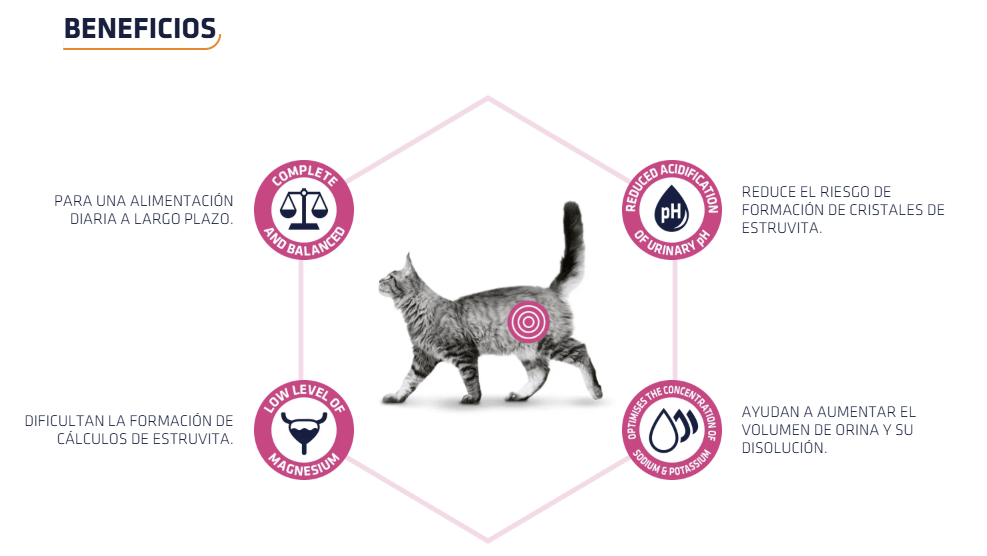 Comida húmeda ADVANCE Veterinary Diets Urinary para gatos adultos pack 12 x 85 g