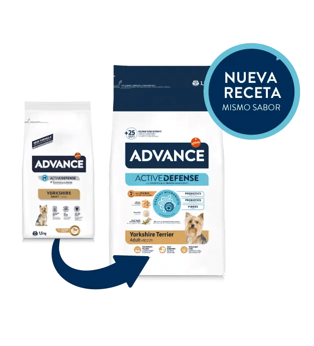 Saco de 1,5 kg de pienso ADVANCE Yorkshire Terrier para perros adultos de esta raza.