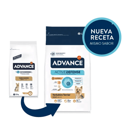 Saco de 1,5 kg de pienso ADVANCE Yorkshire Terrier para perros adultos de esta raza.