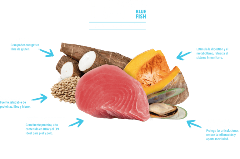 Atlantic Pet Blue Oceanic pienso Grain Free con 60 % de pescado, atún fresco y sardina deshidratada para perros, formatos 2 y 12 kg