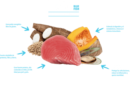 Atlantic Pet Blue Oceanic pienso Grain Free con 60 % de pescado, atún fresco y sardina deshidratada para perros, formatos 2 y 12 kg