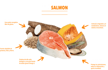 Atlantic Pet Skin & Coat Medium & Large pienso sin cereales con 55 % de salmón para perros adultos de razas medianas y grandes, formatos 2 y 12 kg