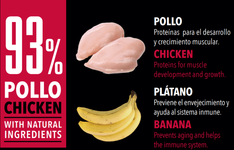 Atlantic Pet Wilderness comida húmeda sin cereales con 93 % de pollo y 4 % de plátano para perros, packs de 6 latas de 200 g y 400 g