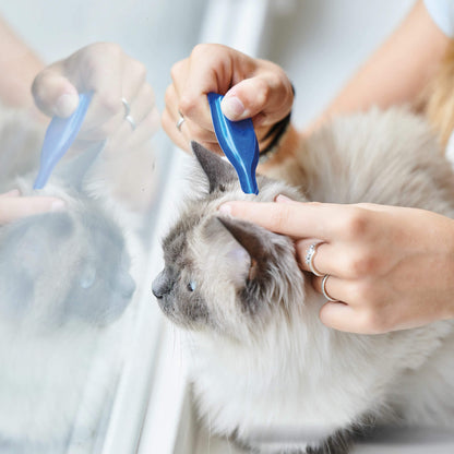Beaphar Calming Spot On para gatos con valeriana 3 pipetas de 0,4 ml
