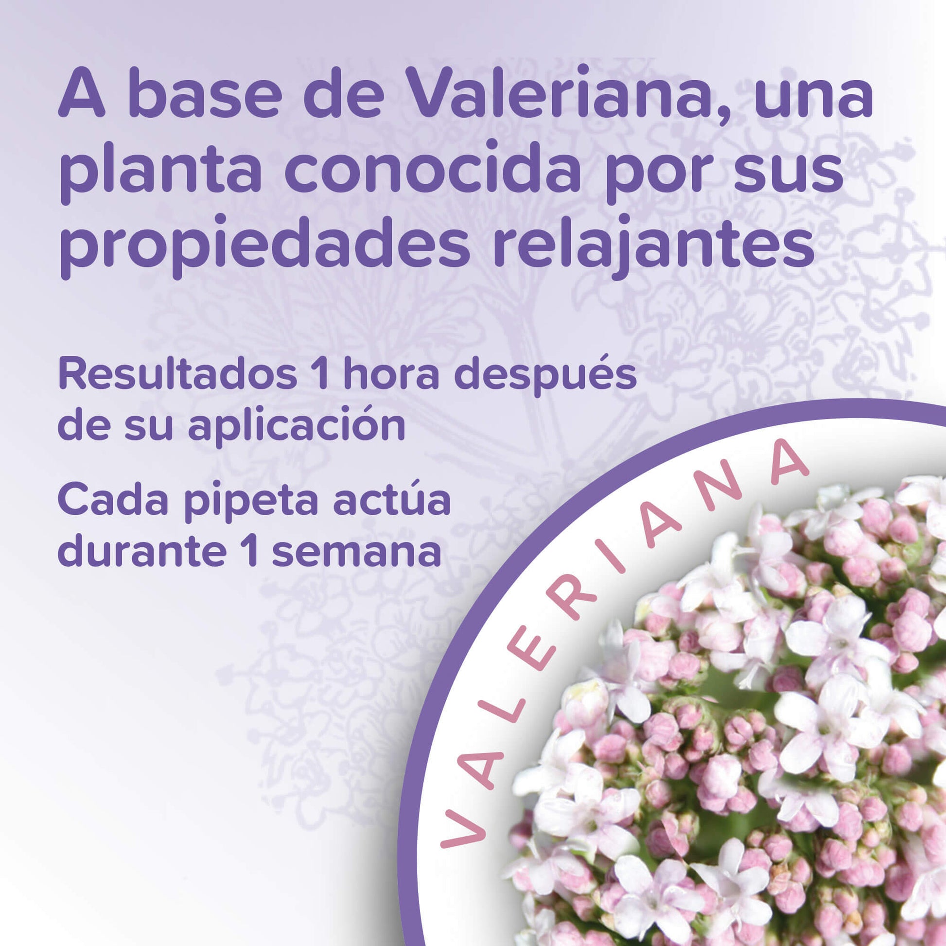 Beaphar Calming Spot On para gatos con valeriana 3 pipetas de 0,4 ml