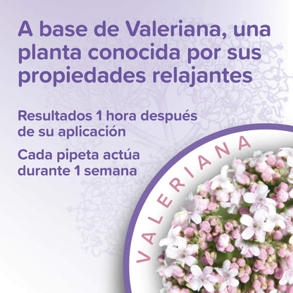 Beaphar Calming Spot On para gatos con valeriana 3 pipetas de 0,4 ml