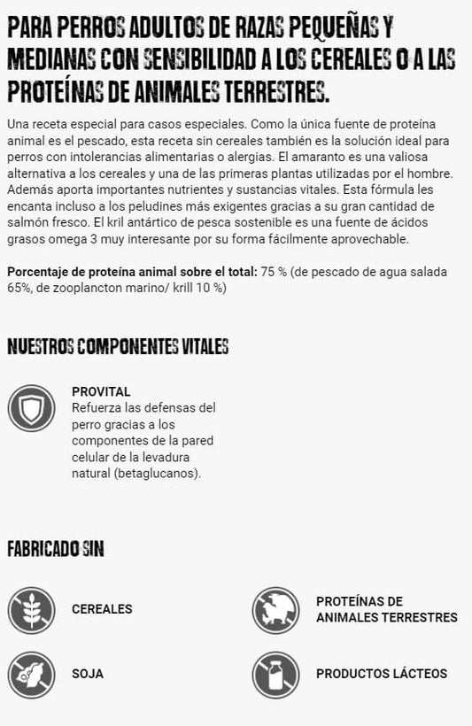 BELCANDO Finest Grain Free Salmon pienso sin cereales con salmón para perros adultos pequeños y medianos