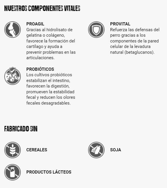 BELCANDO Finest Grain Free Senior pienso sin cereales para perros mayores pequeños y medianos