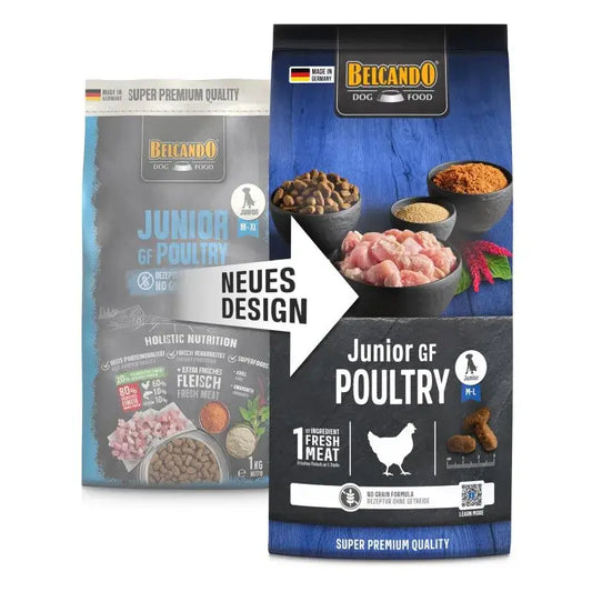 BELCANDO Junior Lamb & Rice pienso con cordero y arroz para cachorros de razas medianas y grandes