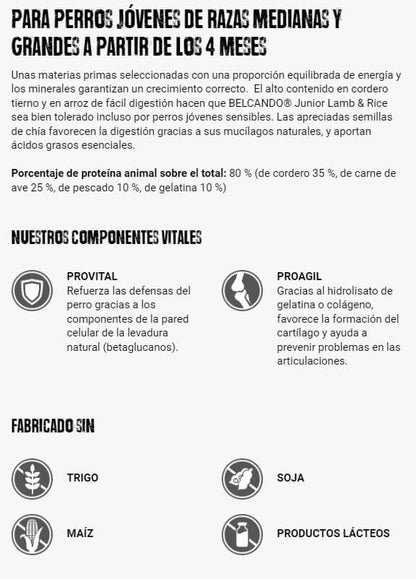 BELCANDO Junior Lamb & Rice pienso con cordero y arroz para cachorros de razas medianas y grandes