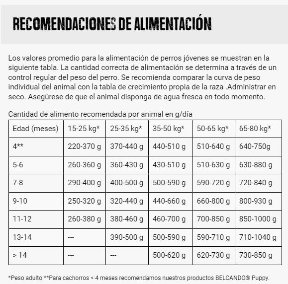 BELCANDO Junior Lamb & Rice pienso con cordero y arroz para cachorros de razas medianas y grandes