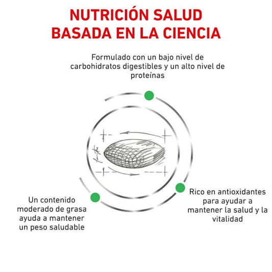 ROYAL CANIN Diabetic | Alimento dietético completo para perros adultos.  Gabo y Gordo Pet Shop en Las Palmas de Gran Canaria tienda para mascotas, perros, gatos, conejos, tortugas, animales, accesorios para mascotas.