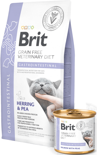 brit gastrointestinal gatos pienso veterinario digestivo sin cereales