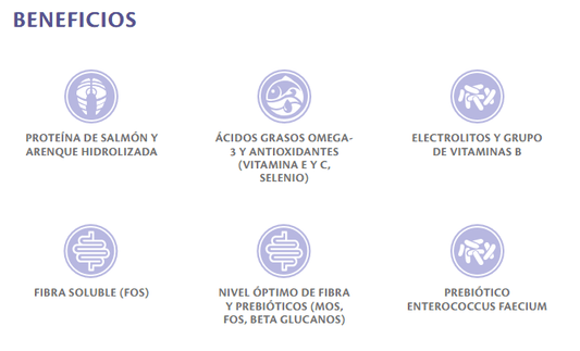 Latas de comida húmeda BRIT Grain Free Gastrointestinal para perros con problemas digestivos.   Gabo y Gordo E Shop in Canary Islands, the best store for pets, dogs, cats, rabbits, turtles, animals, pet accessories.
