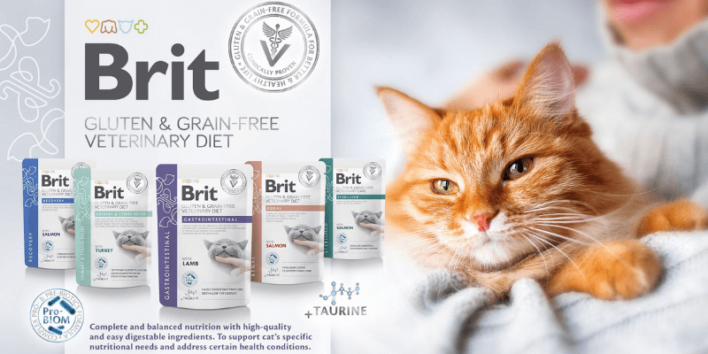 BRIT CARE VET DIETS CAT Sterilised con salmón | Comida húmeda para Gatos 85 g x 12 unidades sin cereales.   Gabo&Gordo Pet Shop en Las Palmas de Gran Canaria tienda para mascotas, perros, gatos, conejos, tortugas, animales, accesorios para mascotas.