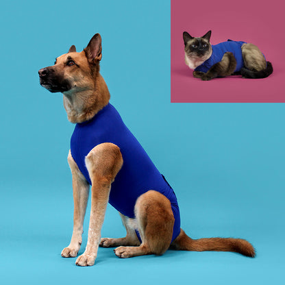 Perro con camiseta postoperatoria KVP para recuperación tras cirugía